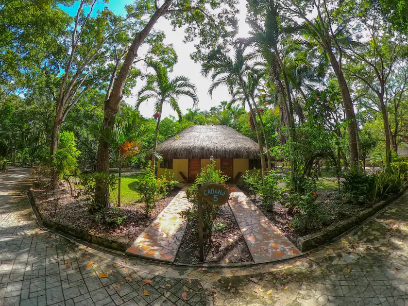 The Mayan Garden - Image 1