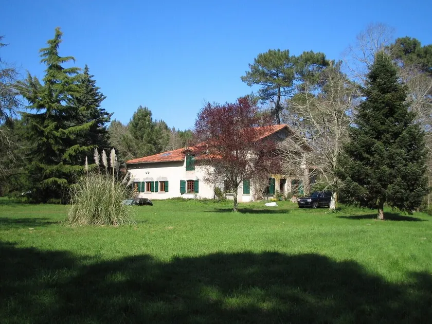 Maison forestière (120 m2) en pleine nature dans une grande clairière au bord du lac, Gascogne - Image 1