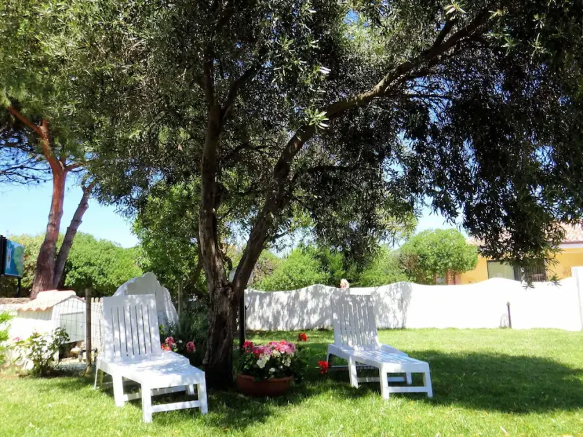 Nice apartment for 4 guests with A/C, TV, terrace and pets allowed - Image 1