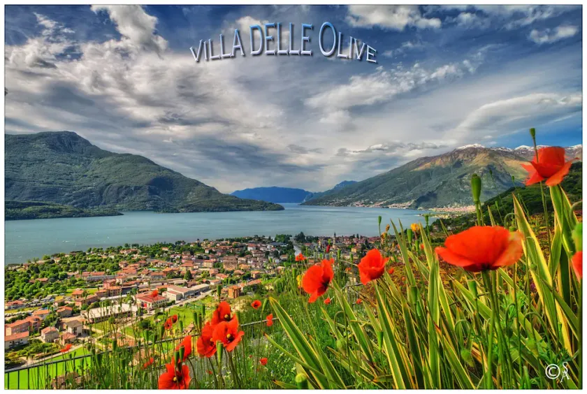 Villa delle Olive - Image 1