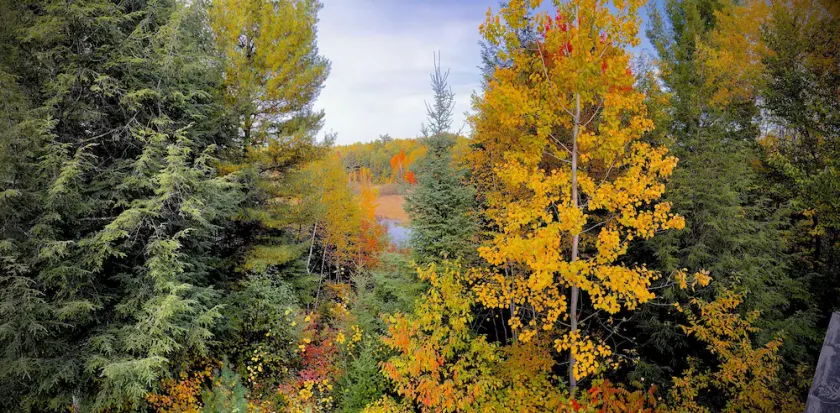 Cozy, spacious cabin. Great for fishing & snowmobiling! - Image 1