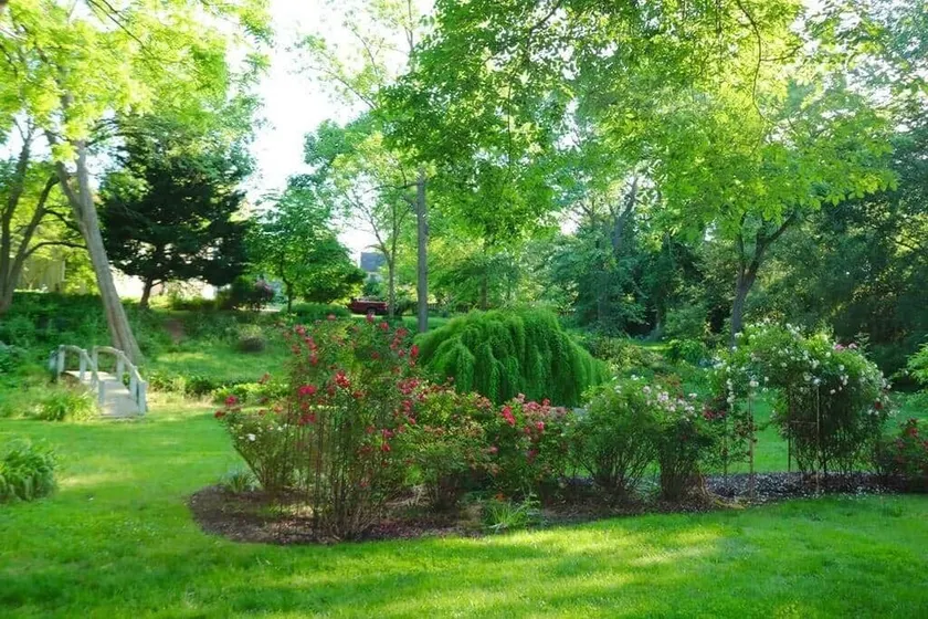 Wren Retweet- Country Estate in Center of C’Town - Image 1