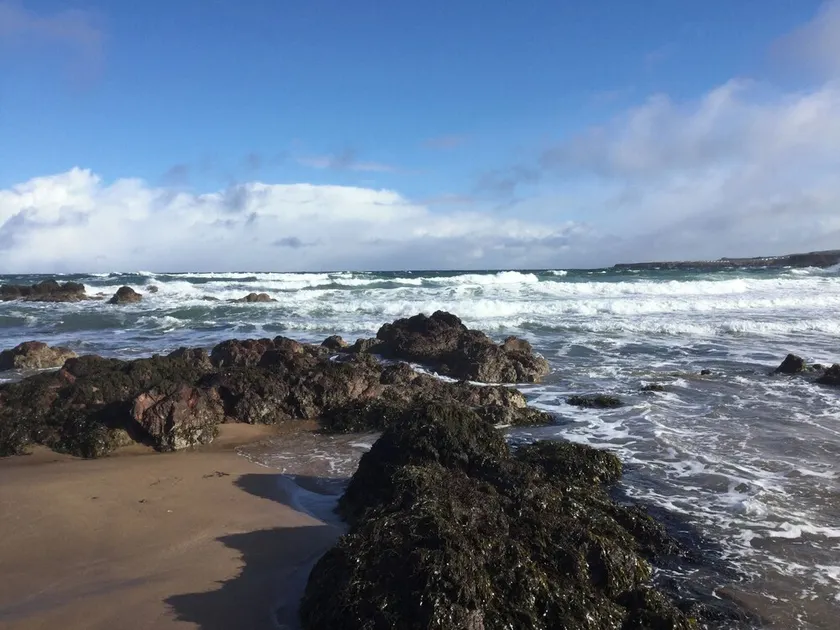 Sea Spray - Image 1