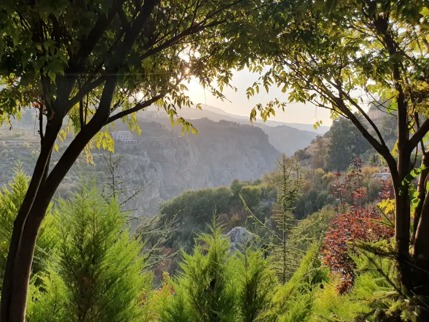 SEQUOIA GUESTHOUSE - Image 1