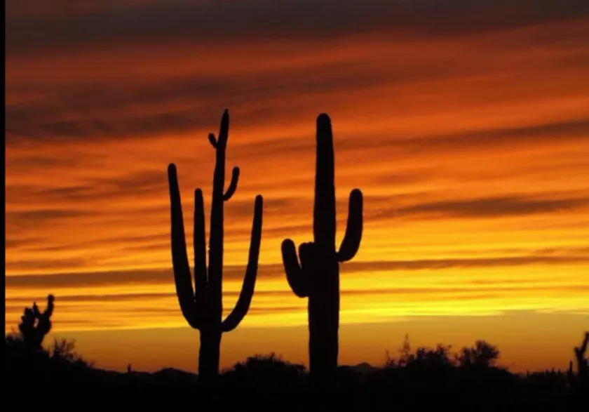 FUN I ARIZONA SOLEN! - Image 1