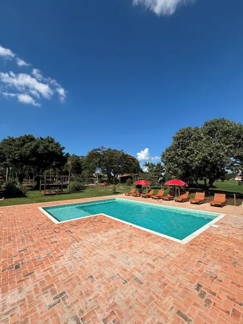Beautiful horse farm near São Paulo. - Image 1
