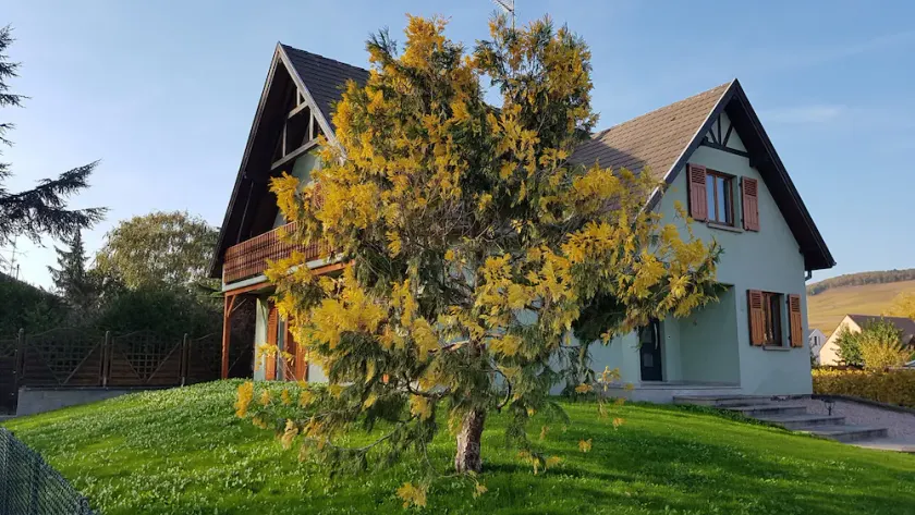 Gîte La Maison De Caroline, Spa - Image 1