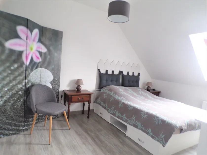 Orchid, large bright apartment, free wifi, garden, parking - Image 1