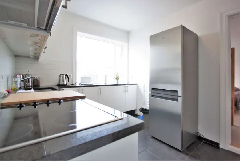 Located in downtown Reykjavik, only 200-meter walking distance from the main street Laugavegur - Image 1
