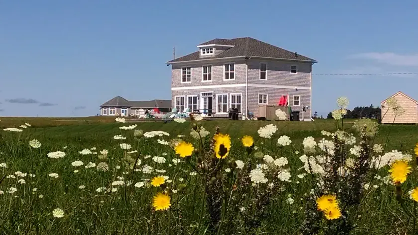 Ocean Front Beach House in Augustine Cove - Image 1