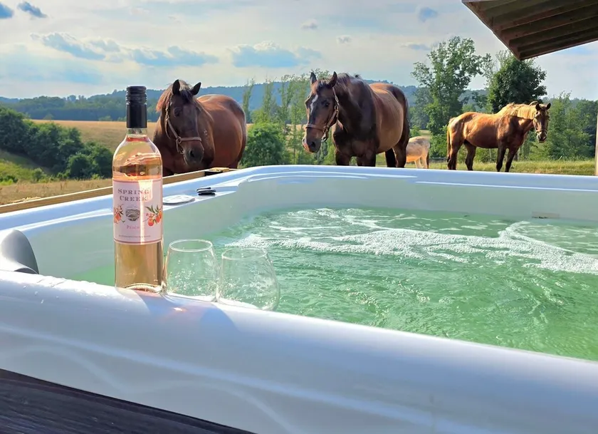 Private Farm Cottage surrounded fields, farm animals, mountain views & hot tub! - Image 1
