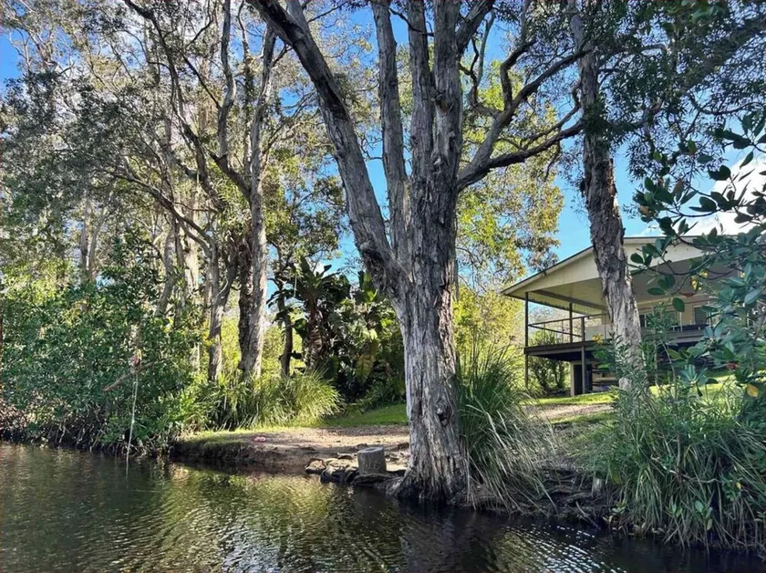 Your own stretch  of wilderness river only 15 mins from Hastings St, incl kayaks - Image 1