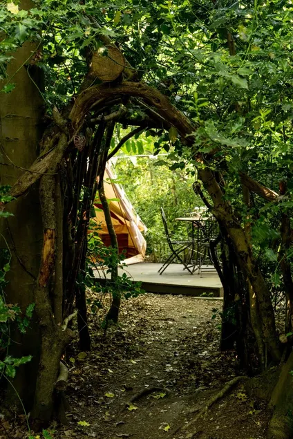 Romantic Glamping Woodland Escape, No Deposit - Image 1