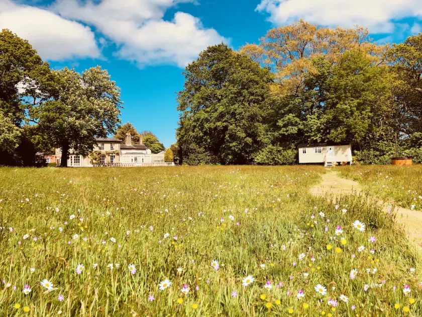 The Hideaway Shepherds Hut & Hot Tub, sleeps 2. - Image 1