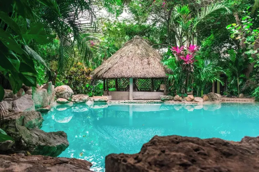 Genesis Eco Oasis - Image 1