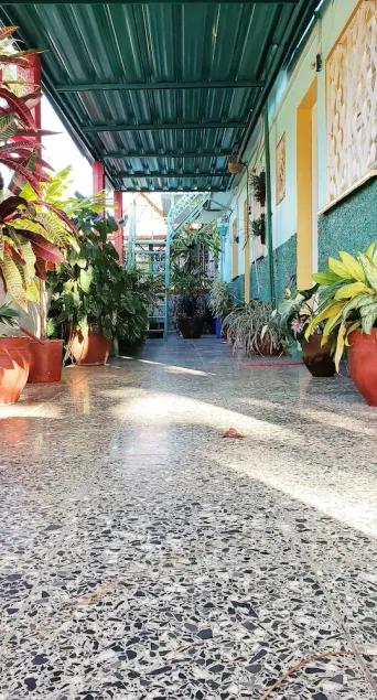 Casa Nené - Image 1
