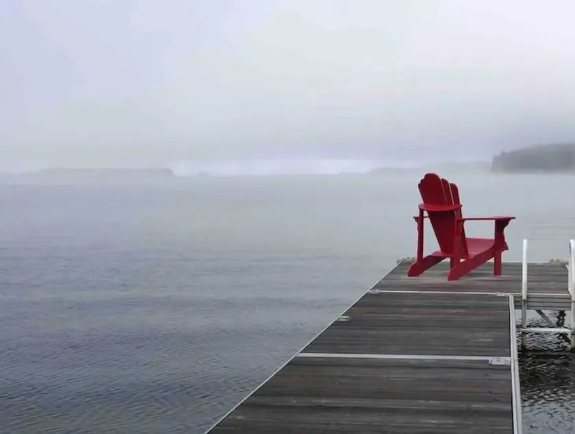 Beautiful Balsam Lake Retreat-2Hammocks on Balsam - Image 1