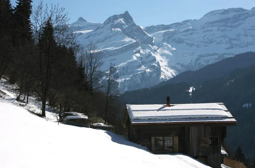 Bezauberndes Chalet, hell und renoviert mit viel Charme - Image 1