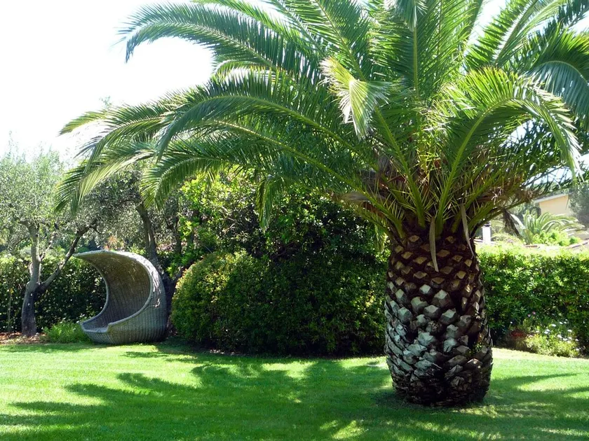 Marilena - Image 1