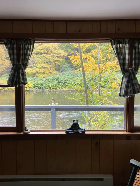 Relaxing Cabin on the Beaverkill River—A Fisherman’s Paradise Roscoe NY— - Image 1