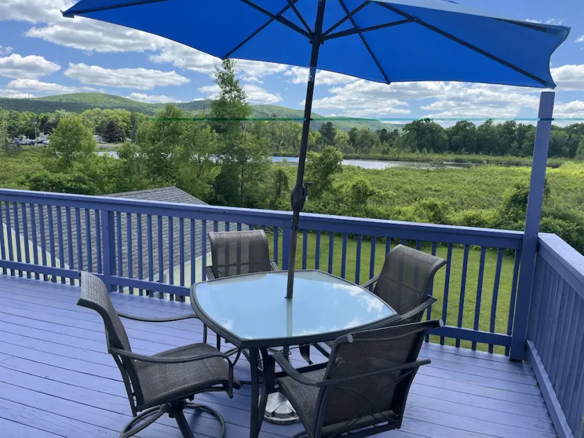 Goose Pond Two less than 1 mile from ASV, Immaculate 2nd floor apartment - Image 1