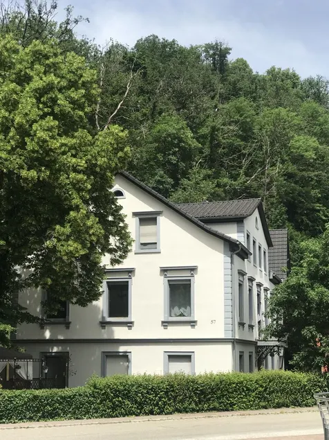 S-villa Apatment 50 im Schwarzwald - Image 1