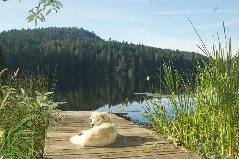  Lake House Saltspring Island   - Image 1