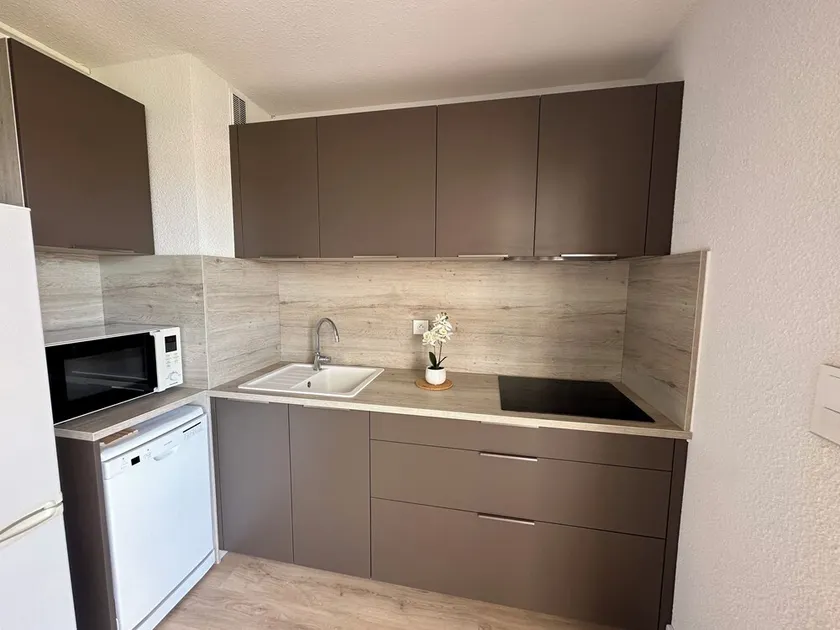 Appart 4-6 personnes avec garage et solarium, clim reversible, 1chambre - Image 1