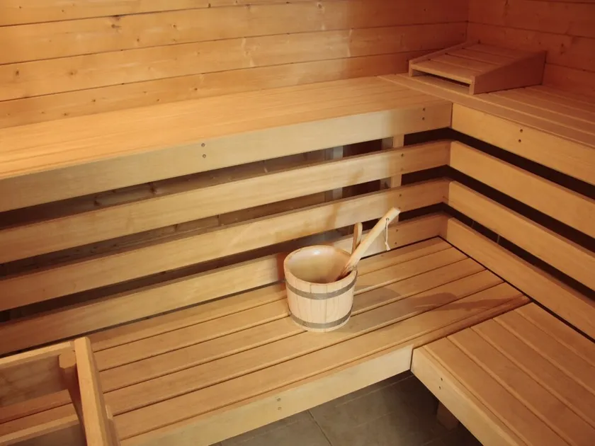 Luxurious chalet with wellness & beautiful view - Image 1
