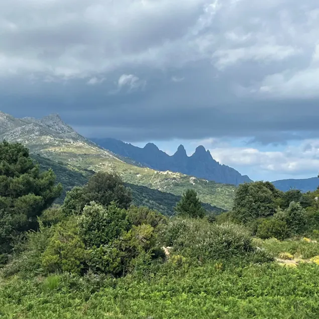 10 min from the beach and 5min from the town center - Image 1