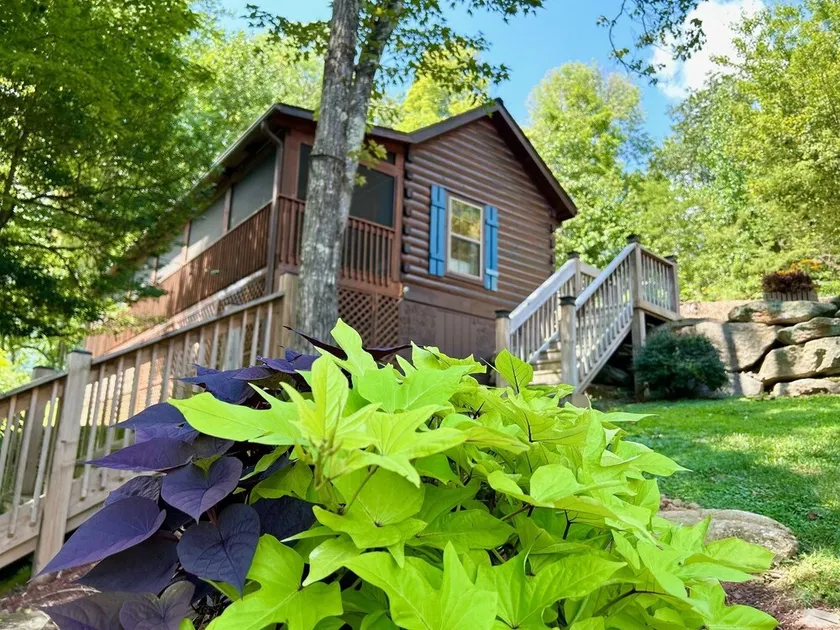 Log Cabin Walkable to Lake Lure & Chimney Rock Blue Skies - Image 1