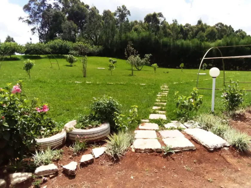 Mseven Gardens M7 - Image 1