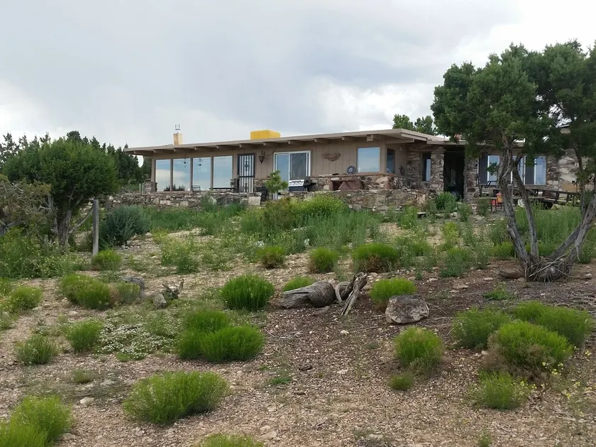 Lille Park Road Retreat - Image 1