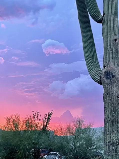 Quiet Eco-Friendly Home Close to Downtown & Desert—Wildlife in Abundance! - Image 1