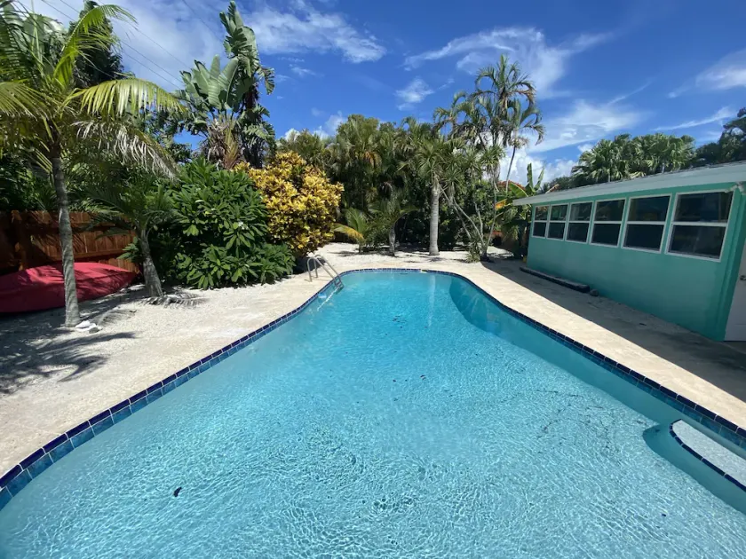 Surfer's Tropical Paradise - Image 1