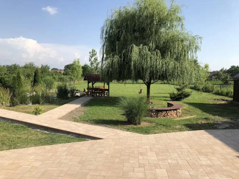 Battonya house - near Arad and border Turnu - Image 1