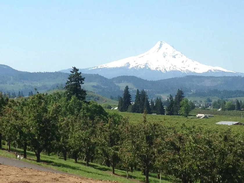 Fantastisk Mt. Hood and Valley Views på Ziphaus! - Image 1