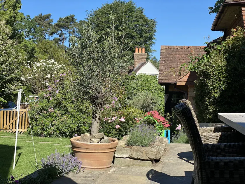 Cosy duplex Cottage on Ashdown Forest - Image 1
