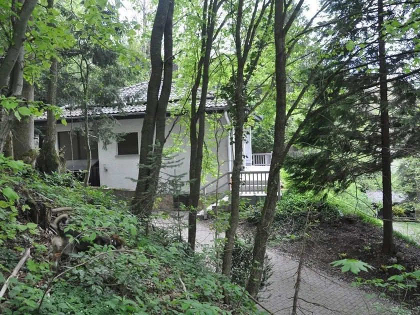 Exklusives Ferienhaus in der Rhön mit Wald, Urlaub mit Hund und Familie - Image 1