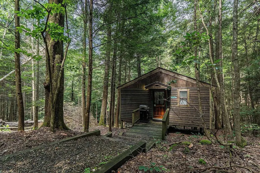 Romantic Get-away Cabin in the woods, w/Hottub next to coolest small town in USA - Image 1