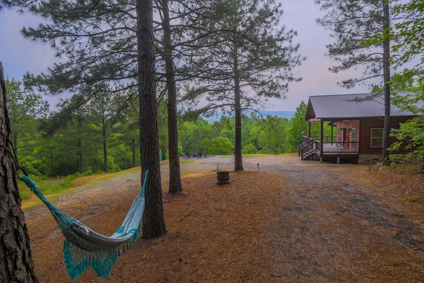 Livin' The Dream - Secluded Luxury Cabin on River's Edge - Image 1