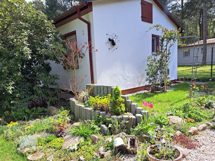 gemütlicher Bungalow am Rand der Dübener Heide - Image 1