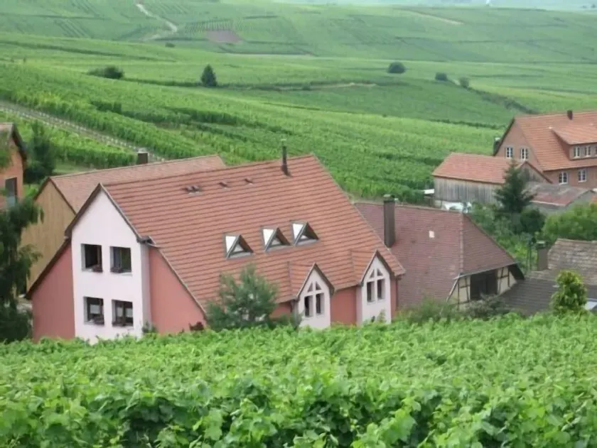 Gîte Chez Le Vigneron til 4 personer - Image 1