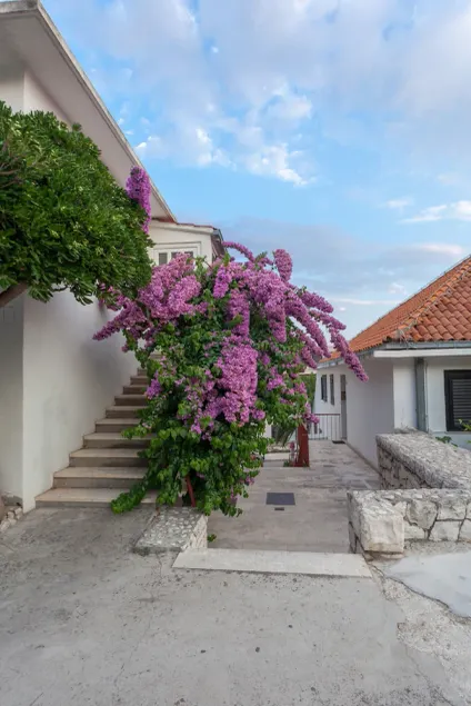 Guest House Marija in perfect location - Image 1