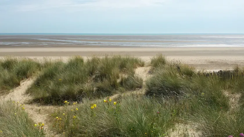 Family & Pet Friendly Home Direct On A Lovely Sandy Beach - Image 1