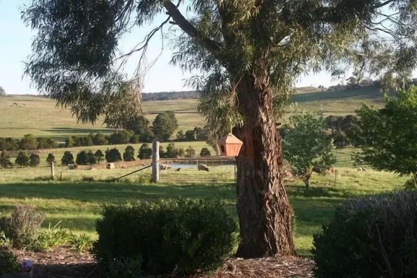 Eco Olive Farmstay - Image 1