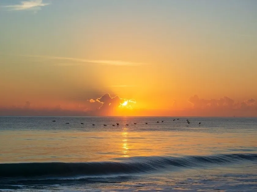 PRIVATE DETACHED GUEST HOUSE 2 MINUTE WALK TO BEACH, SURROUNDED BY NATURE. - Image 1