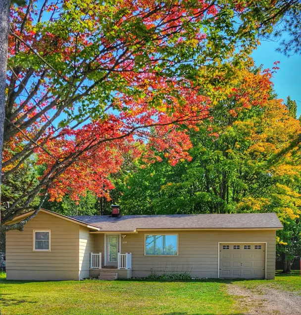 Petoskey's \" Stay while you Play\" - Image 1