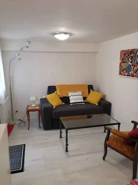 Attractive F2 souplex apartment with free PARKING, small garden and terrace - Image 1