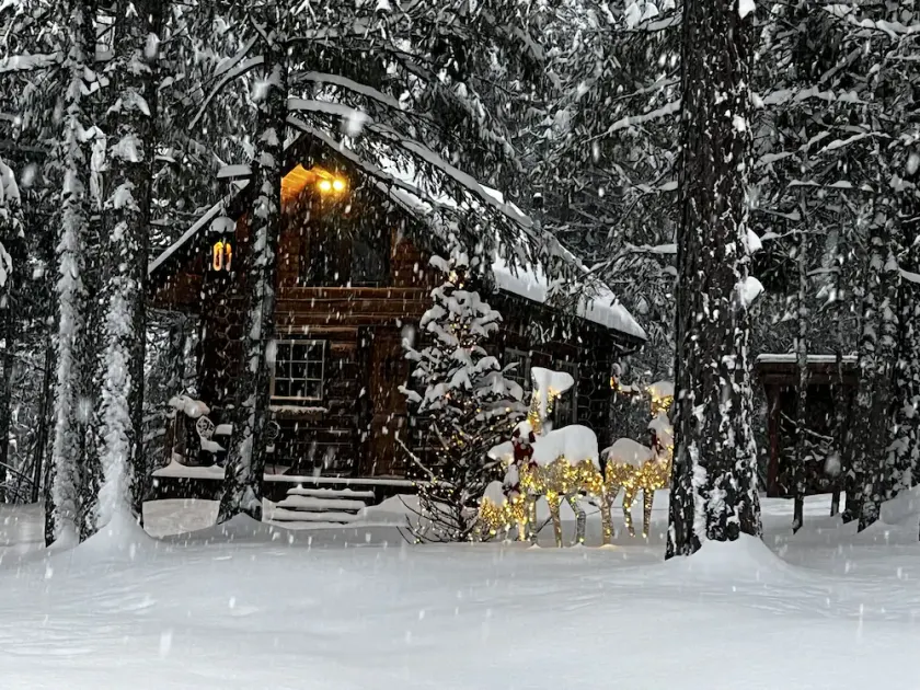 Trappers Cabin, Tiny home, Romantic get away - Image 1